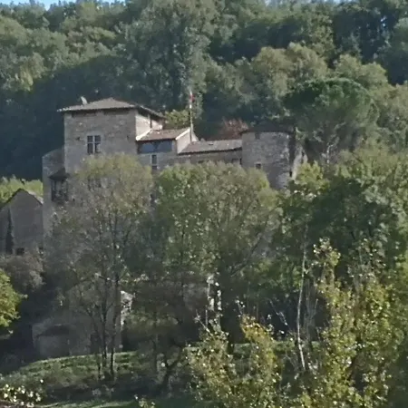 La Tannerie - Gde Villa A 6 Km De St Antonin Noble Val Espinas